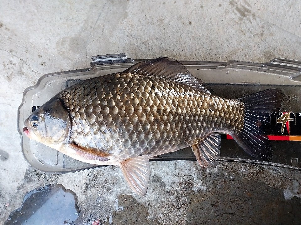 KakaoTalk_20190311_133231603.jpg