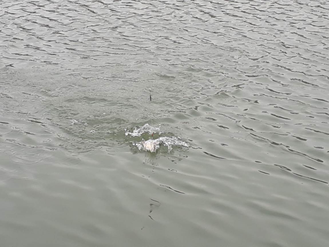 20190314_143038.jpg