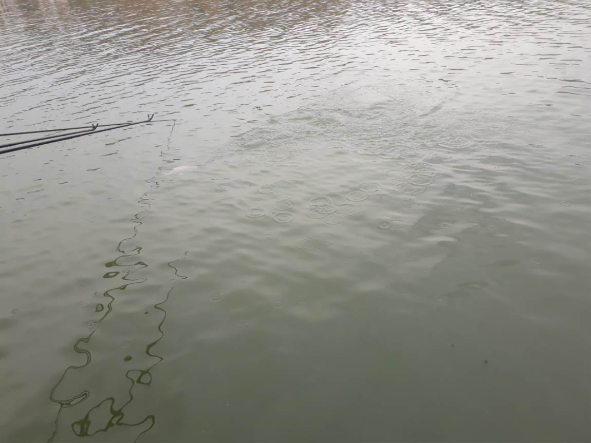 20190314_161619.jpg