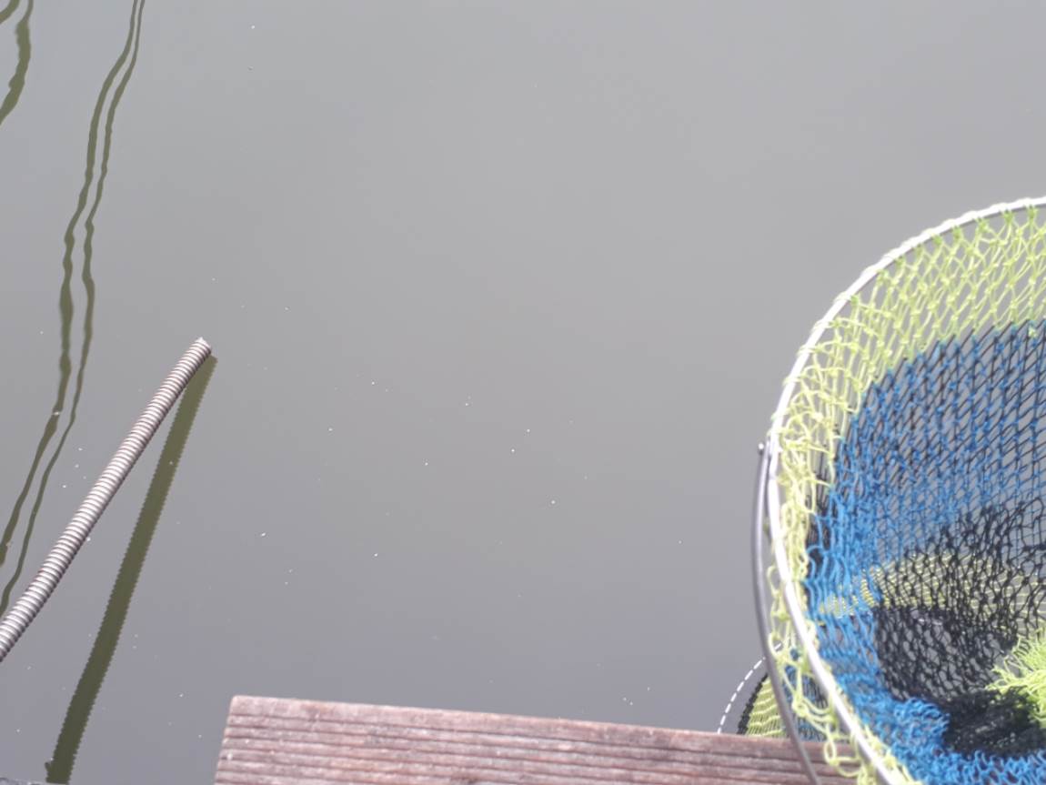 20190314_161951.jpg