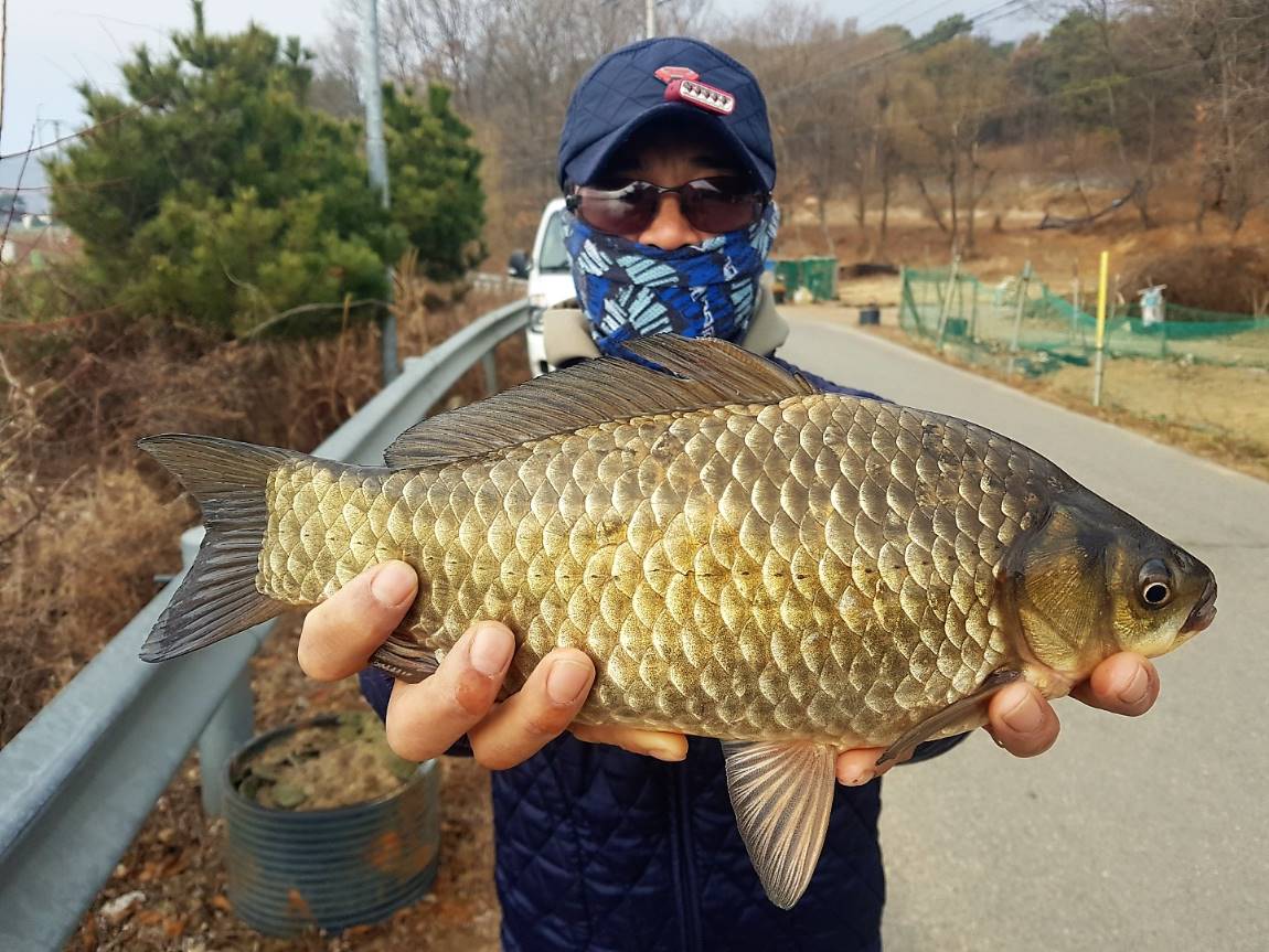 KakaoTalk_20190318_092317246.jpg