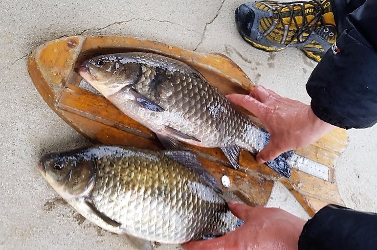 KakaoTalk_20190321_142427364.jpg