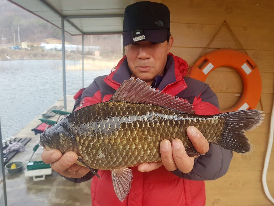 KakaoTalk_20190401_120856233.jpg