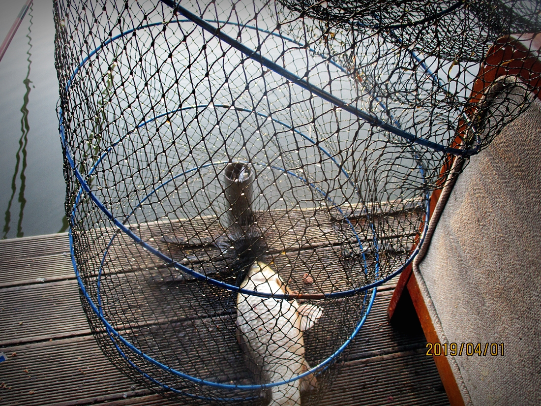 IMG_0869.JPG