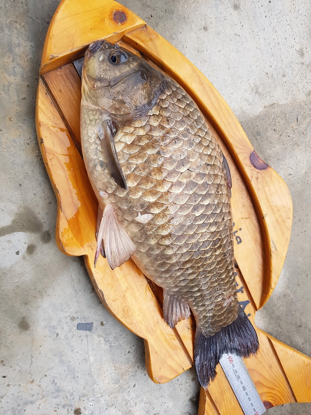 KakaoTalk_20190408_125652639.jpg