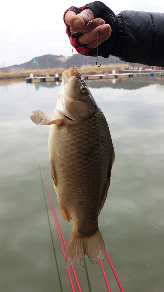 KakaoTalk_20190406_141227172.jpg