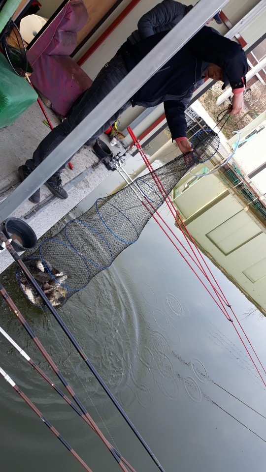 KakaoTalk_20190407_081156986.jpg