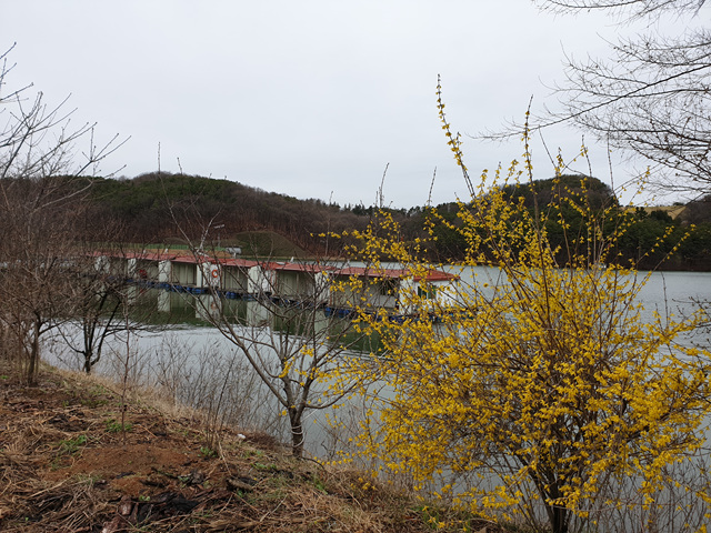 20190410_094628.jpg
