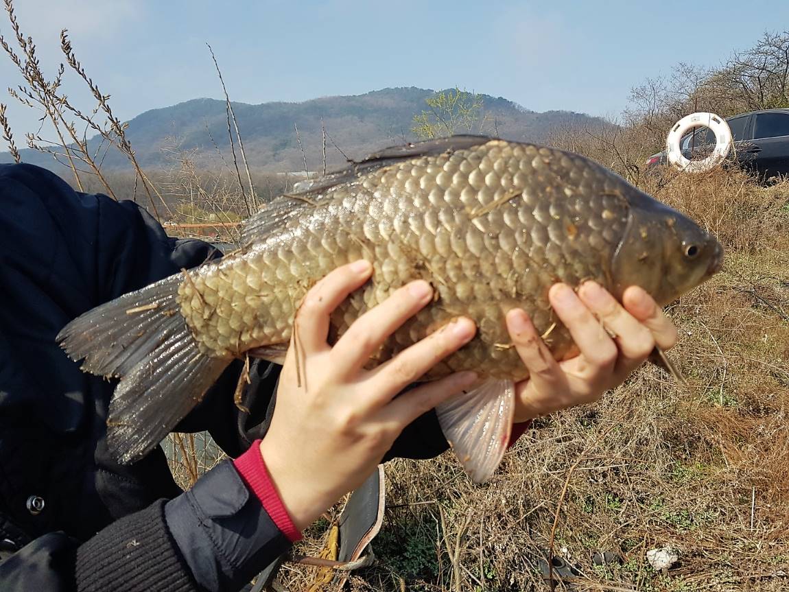 KakaoTalk_20190411_102035659.jpg