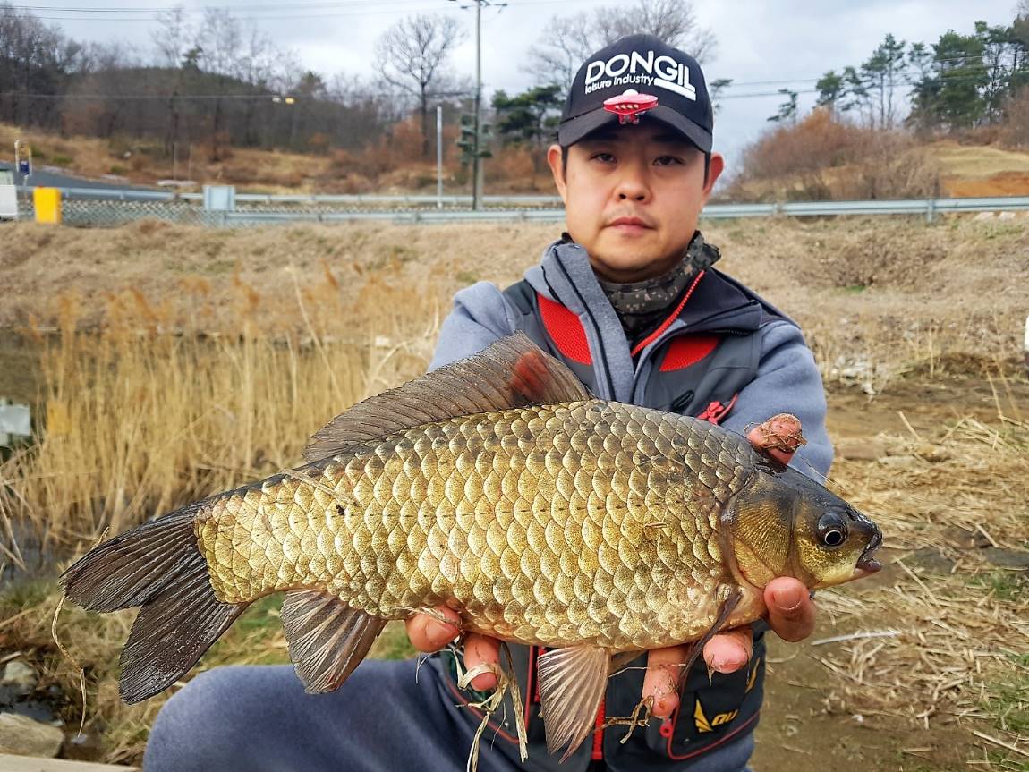 KakaoTalk_20190411_102101689.jpg