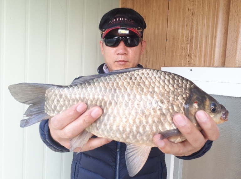 daum_net_20190414_193507.jpg