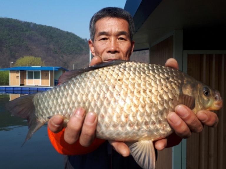 daum_net_20190414_193629.jpg