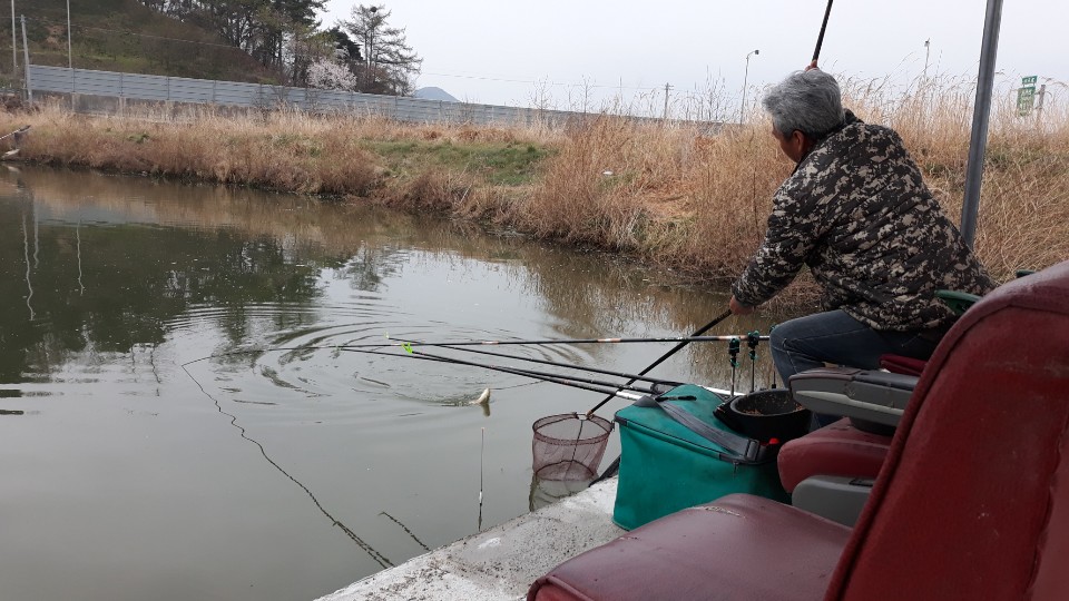 KakaoTalk_20190419_063432697.jpg