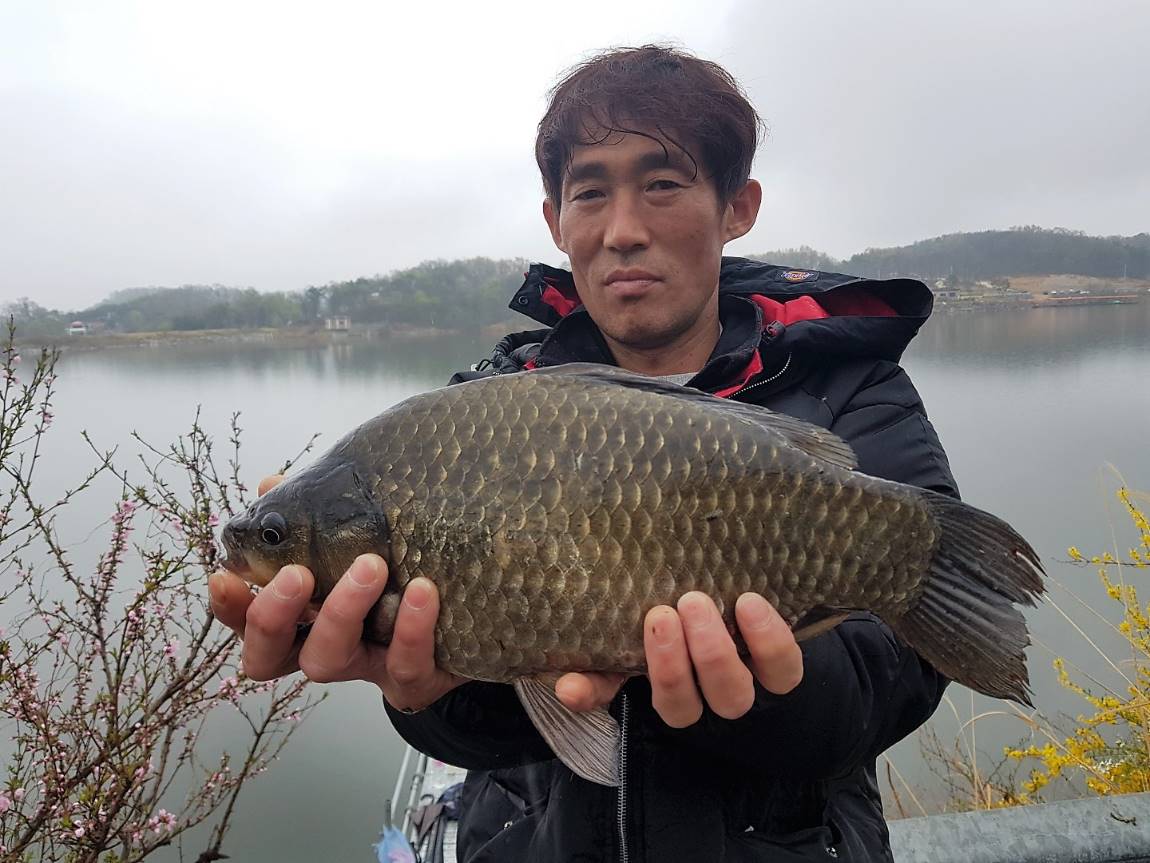 KakaoTalk_20190421_185224297.jpg