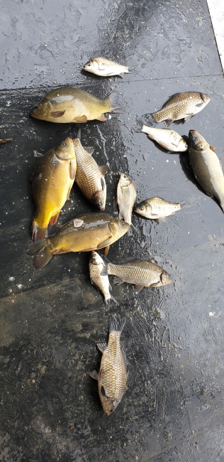 ϰ_20190421_104052.jpg