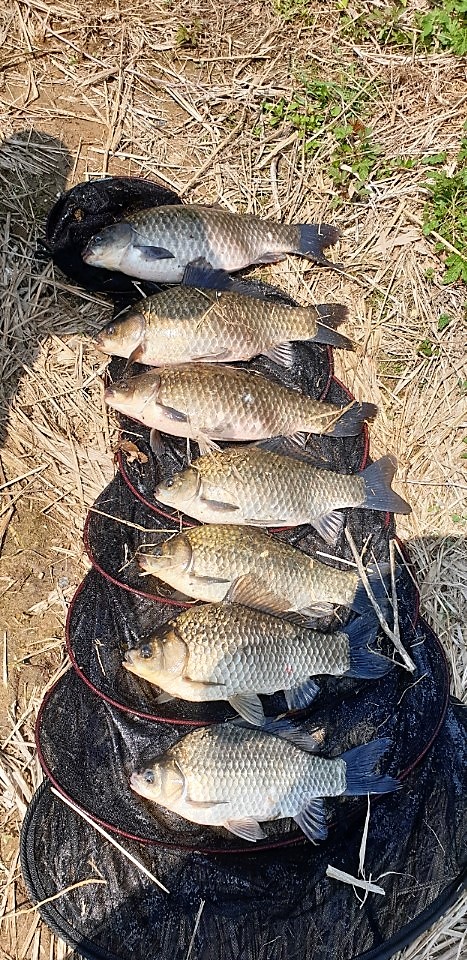 KakaoTalk_20190424_145530548.jpg