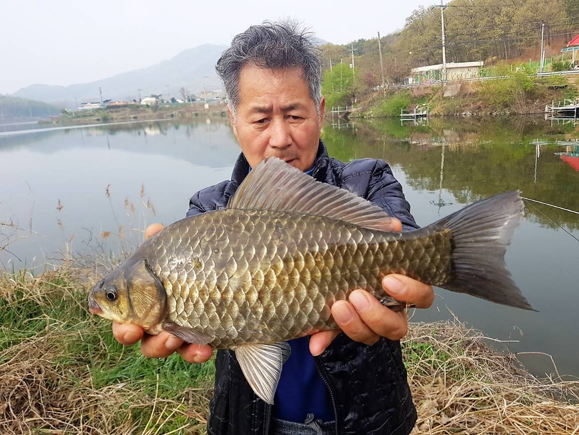 KakaoTalk_20190424_145641096.jpg