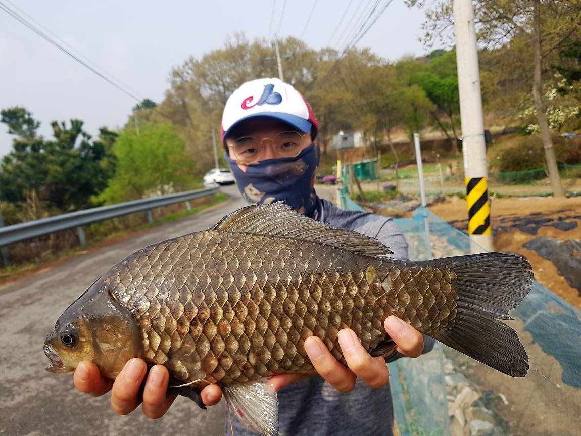 KakaoTalk_20190424_145618922.jpg
