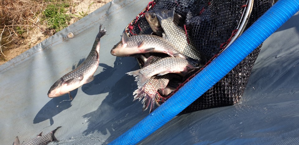 KakaoTalk_20190424_142938787.jpg