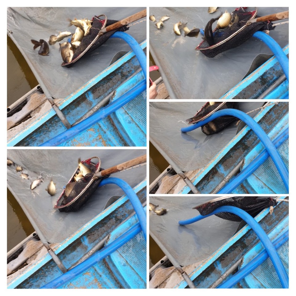 KakaoTalk_20190424_142941970.jpg