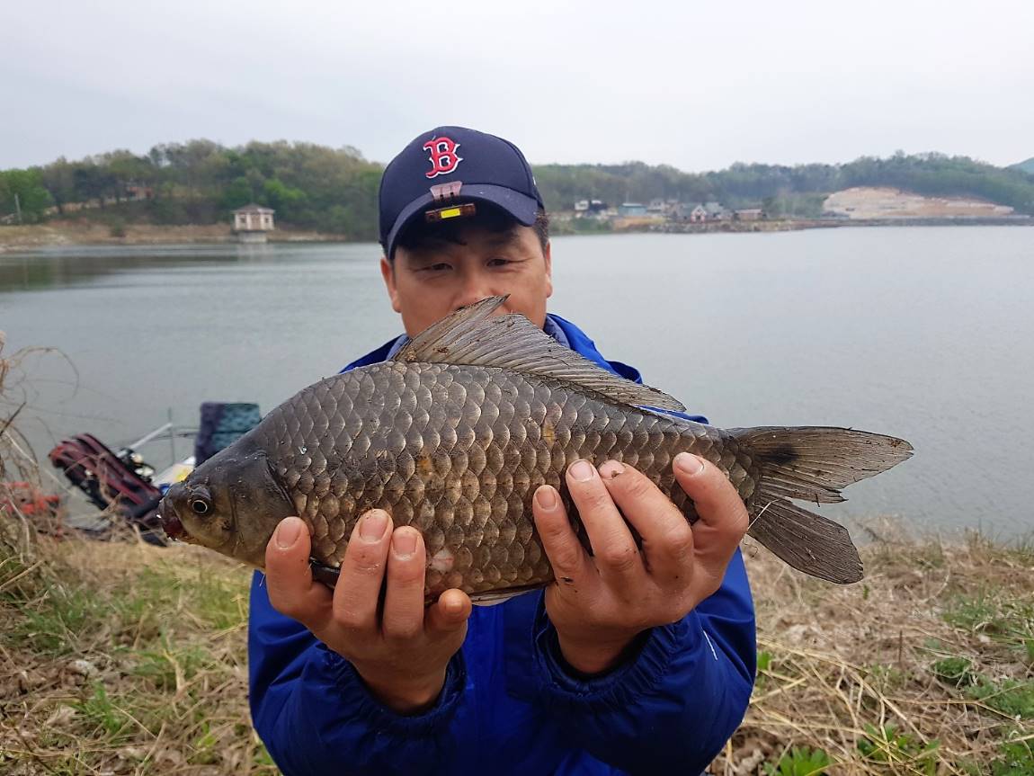 KakaoTalk_20190425_160816388.jpg