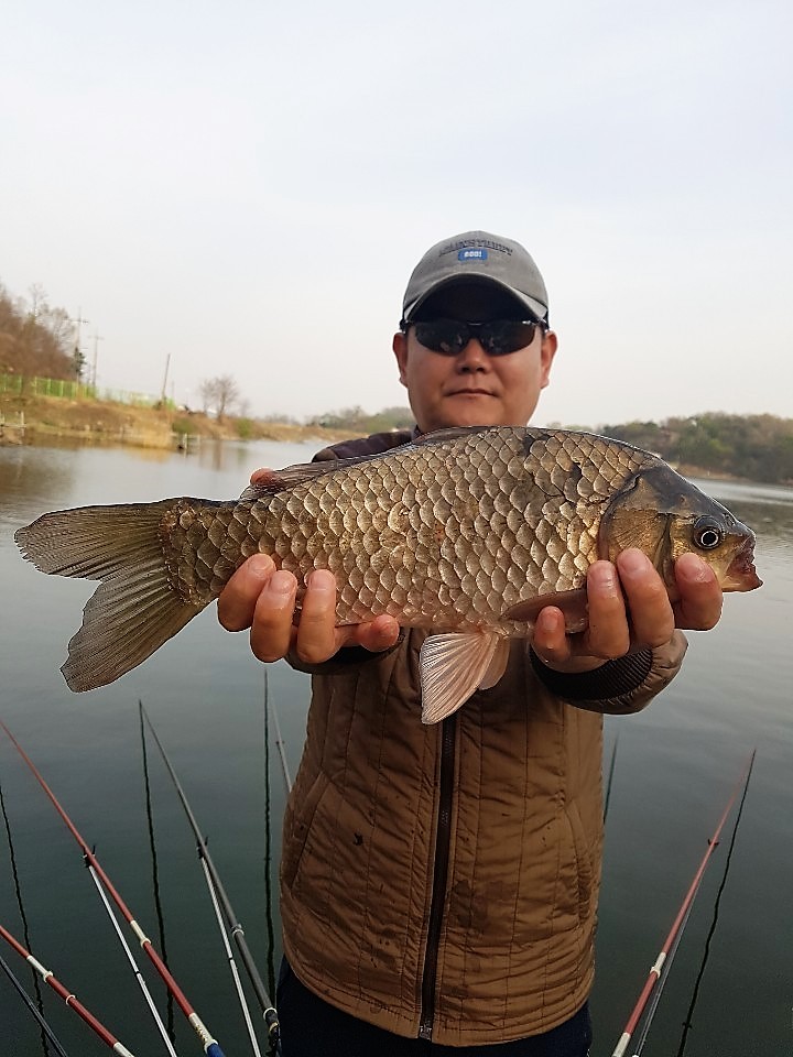 KakaoTalk_20190429_075102435.jpg