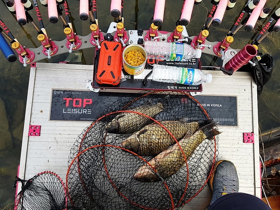 KakaoTalk_20190429_075103136.jpg