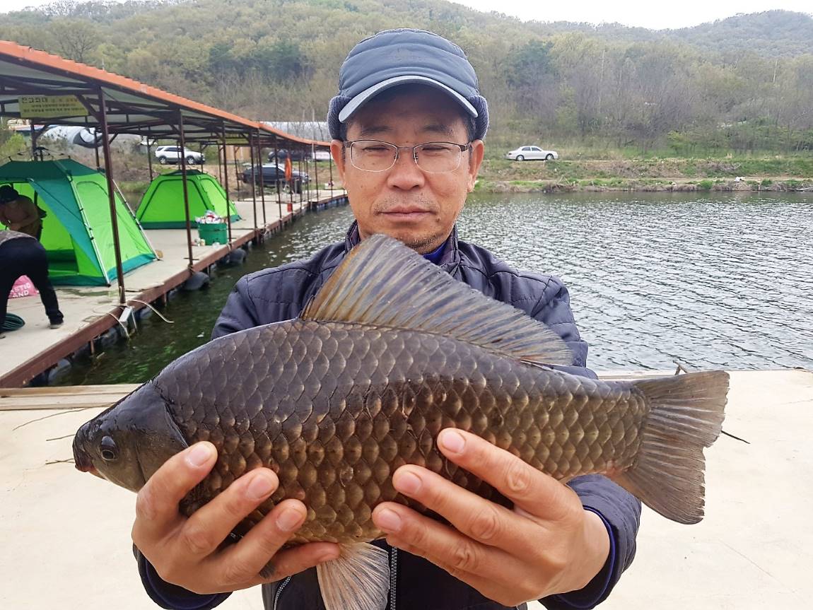 KakaoTalk_20190429_093643704.jpg