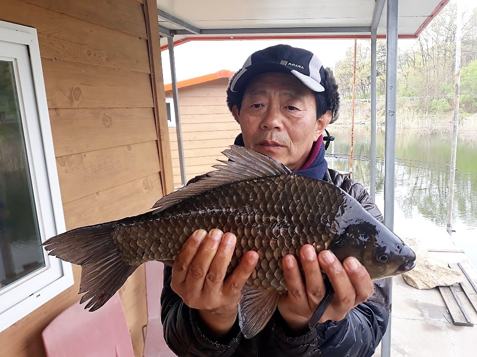 KakaoTalk_20190429_094543357.jpg