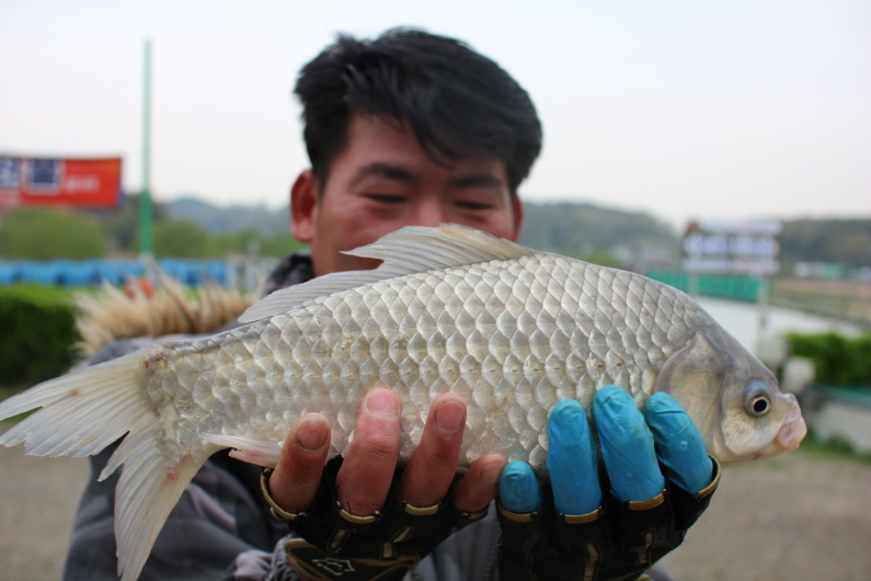 [크기변환]IMG_9913.JPG