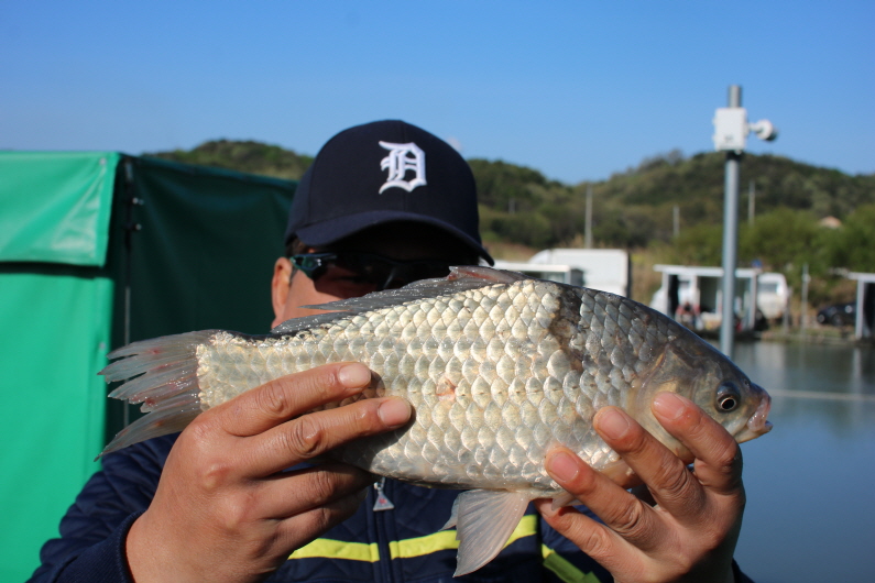 [크기변환]IMG_9408.JPG