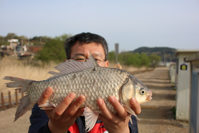 [크기변환]IMG_9886.JPG
