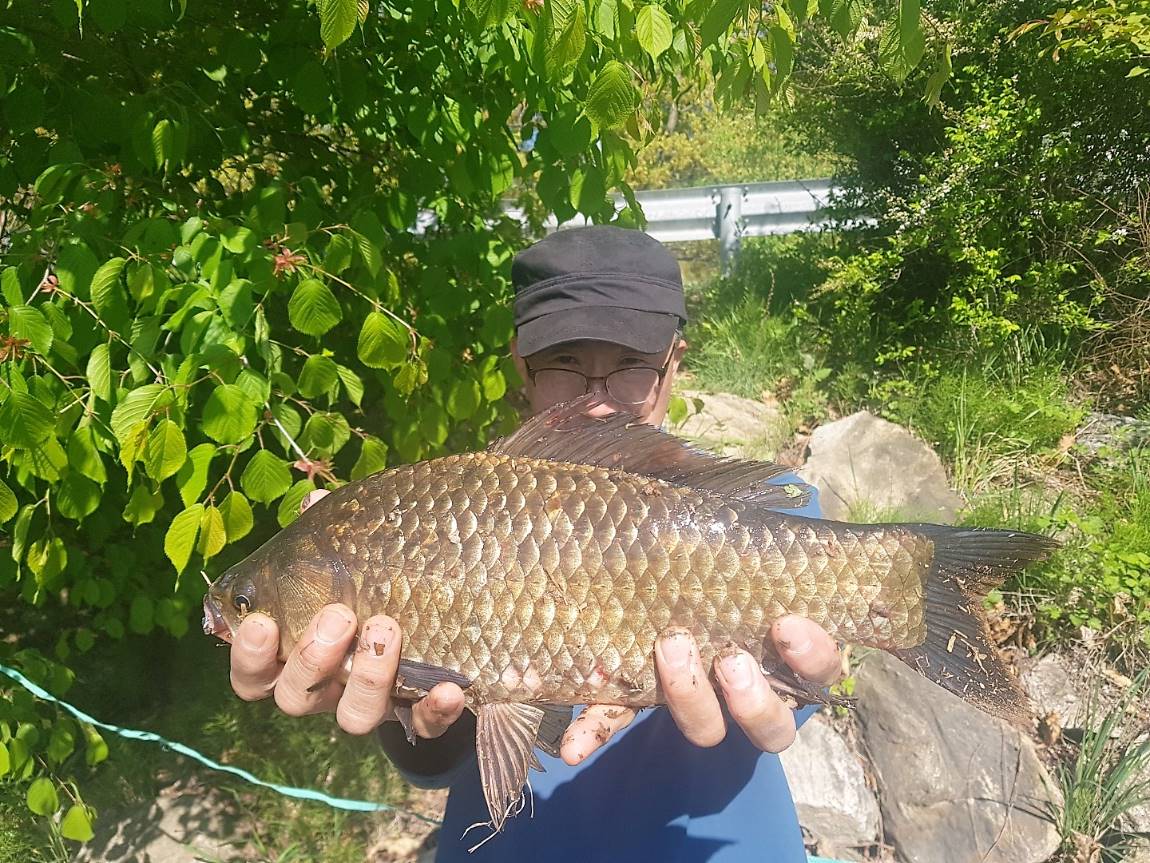 KakaoTalk_20190502_122356044.jpg