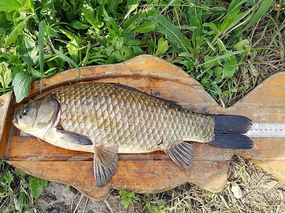 KakaoTalk_20190502_123513827.jpg