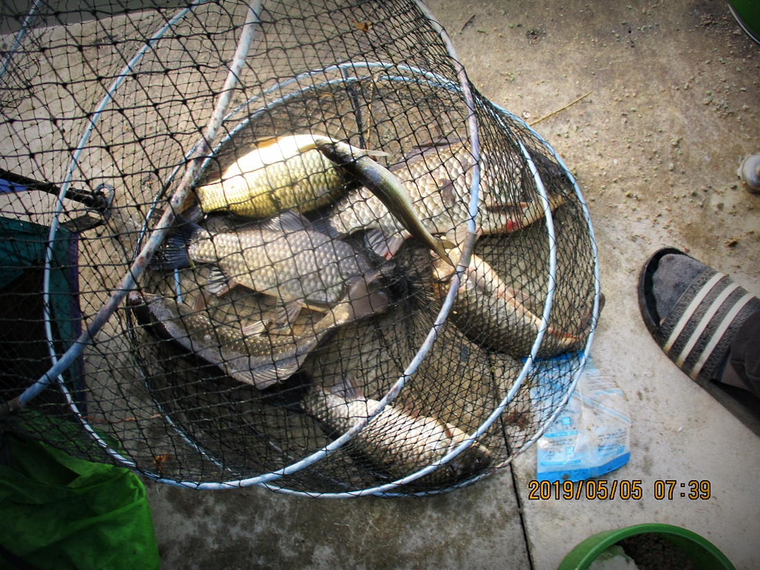 IMG_1086.JPG