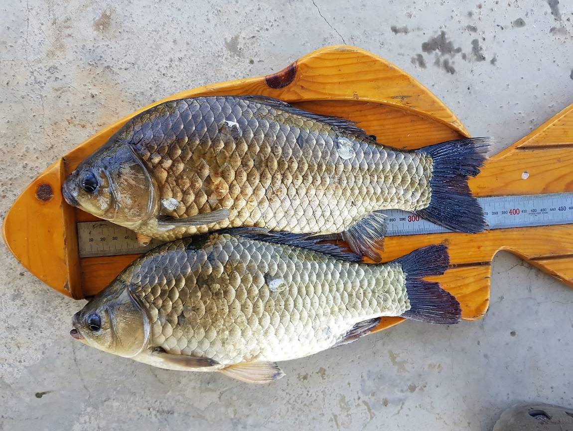 KakaoTalk_20190506_160622370.jpg