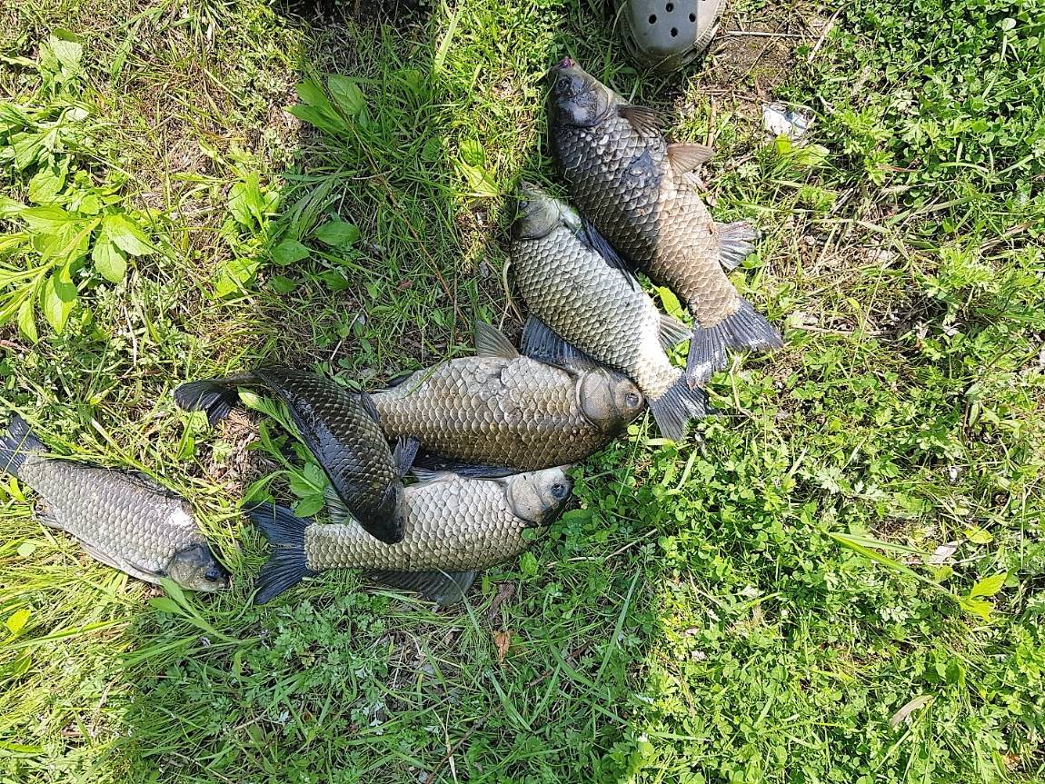 KakaoTalk_20190506_160627746.jpg