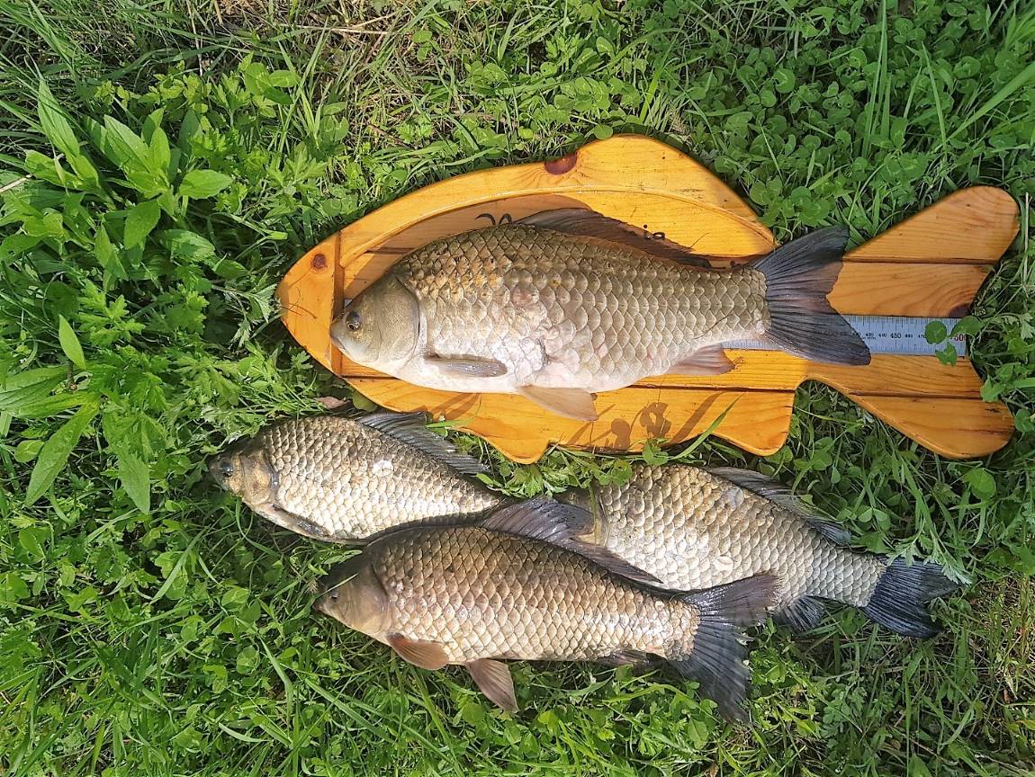KakaoTalk_20190506_160721917.jpg