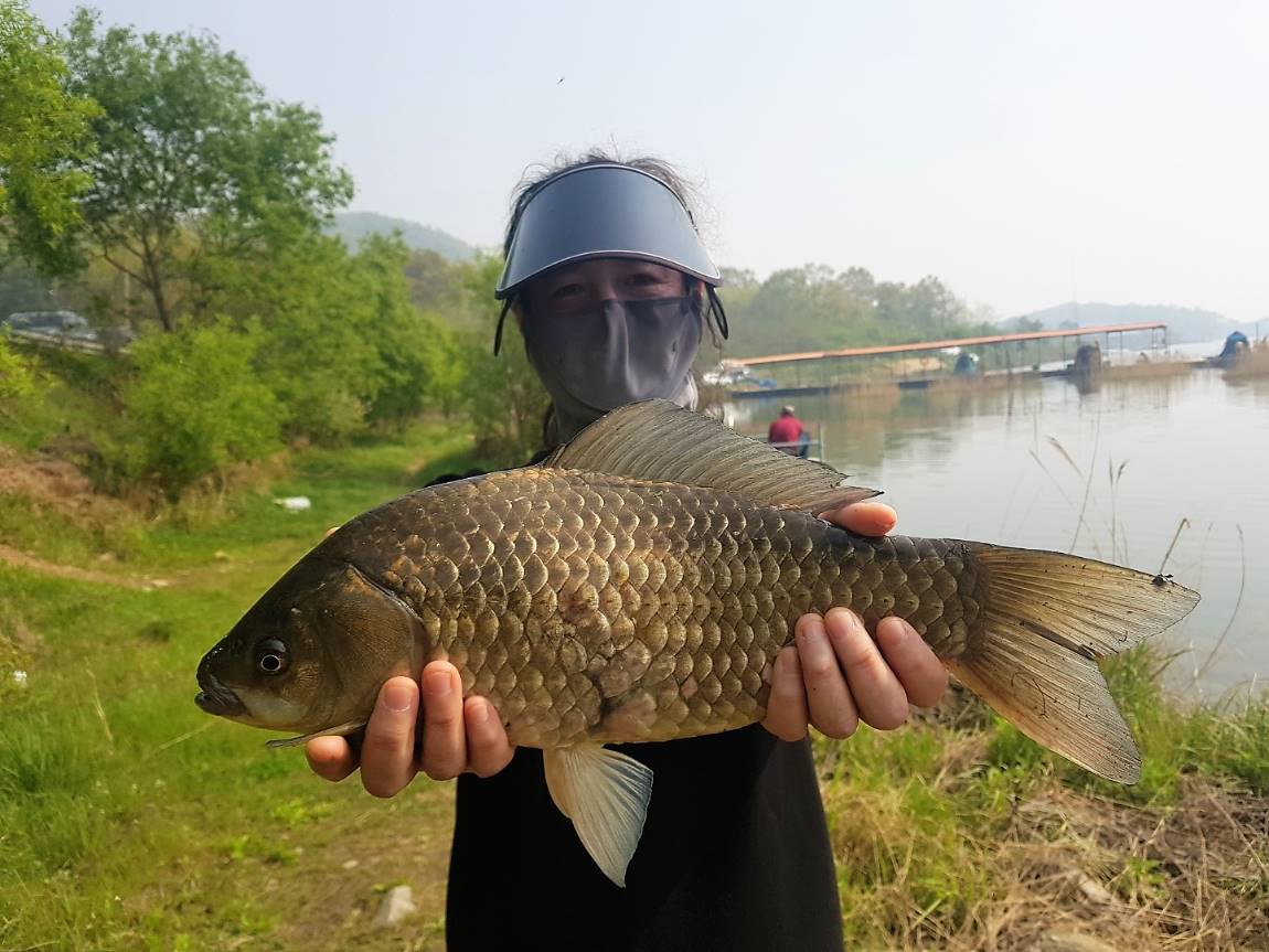 KakaoTalk_20190506_160721167.jpg