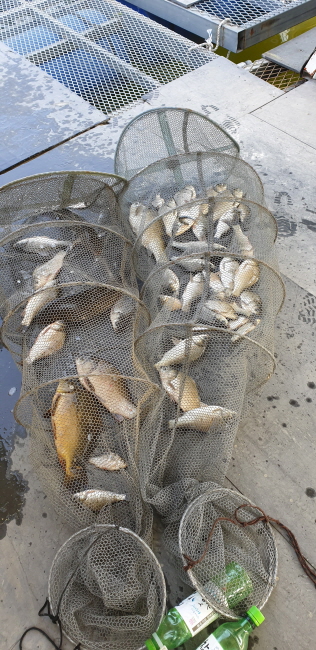 ϰ_20190511_081431.jpg