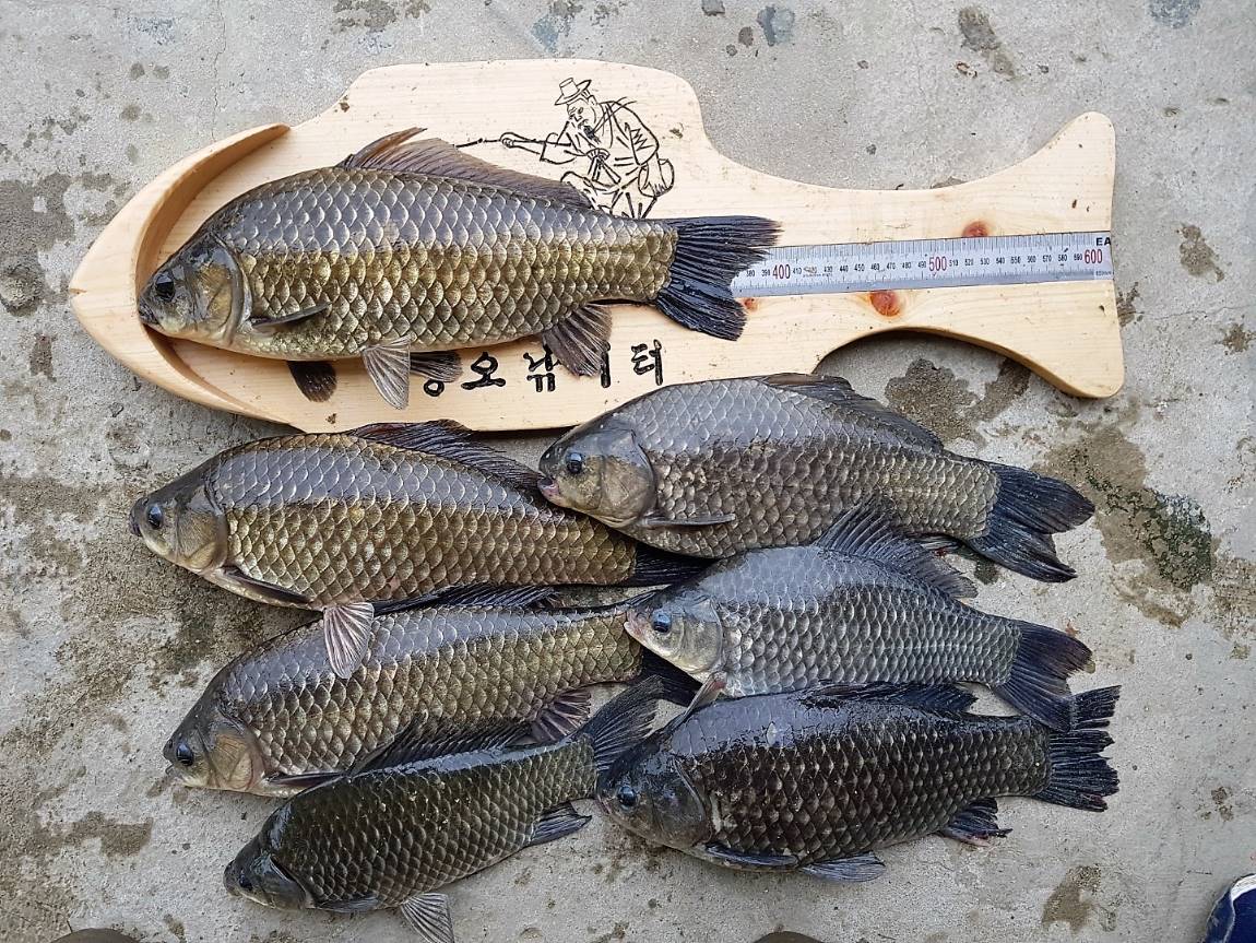 KakaoTalk_20190513_095611031.jpg