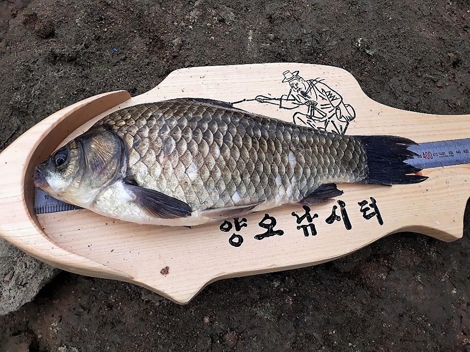 KakaoTalk_20190513_095803452 (1).jpg