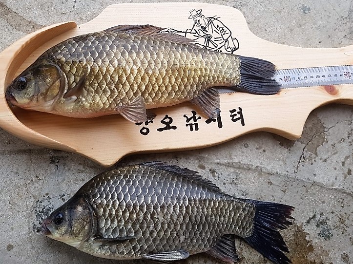 KakaoTalk_20190513_095839413 (1).jpg