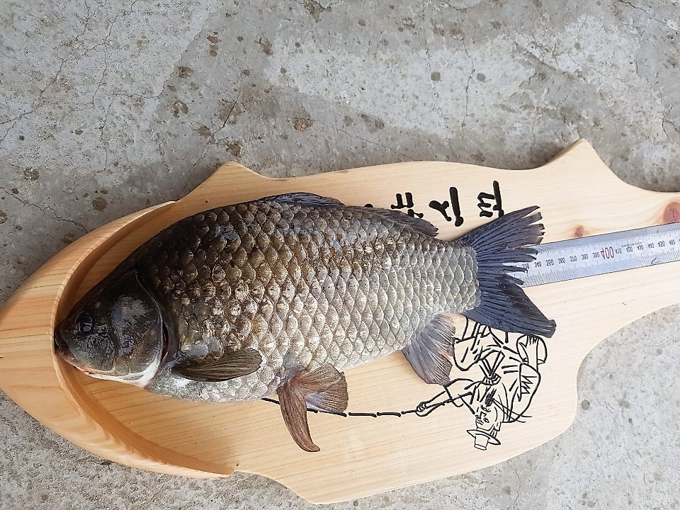 KakaoTalk_20190513_095840228 (1).jpg