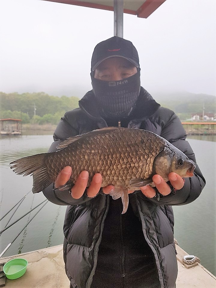 KakaoTalk_20190513_095840639 (1).jpg