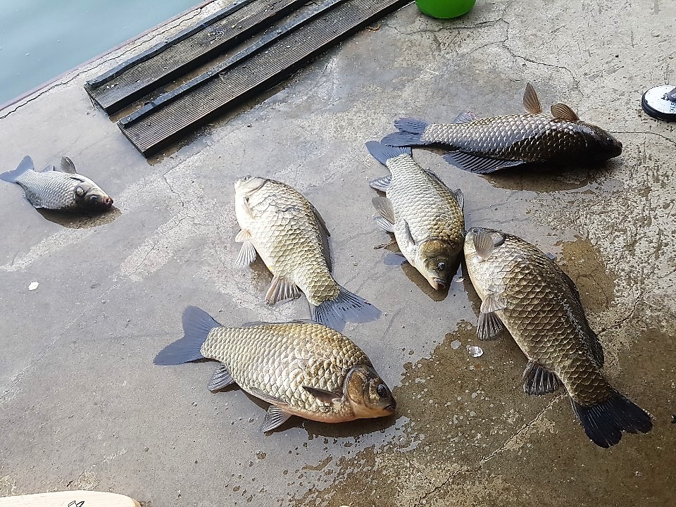KakaoTalk_20190513_095841091 (1).jpg