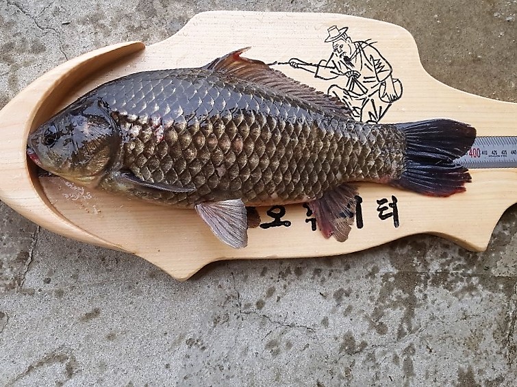 KakaoTalk_20190513_095842102 (1).jpg