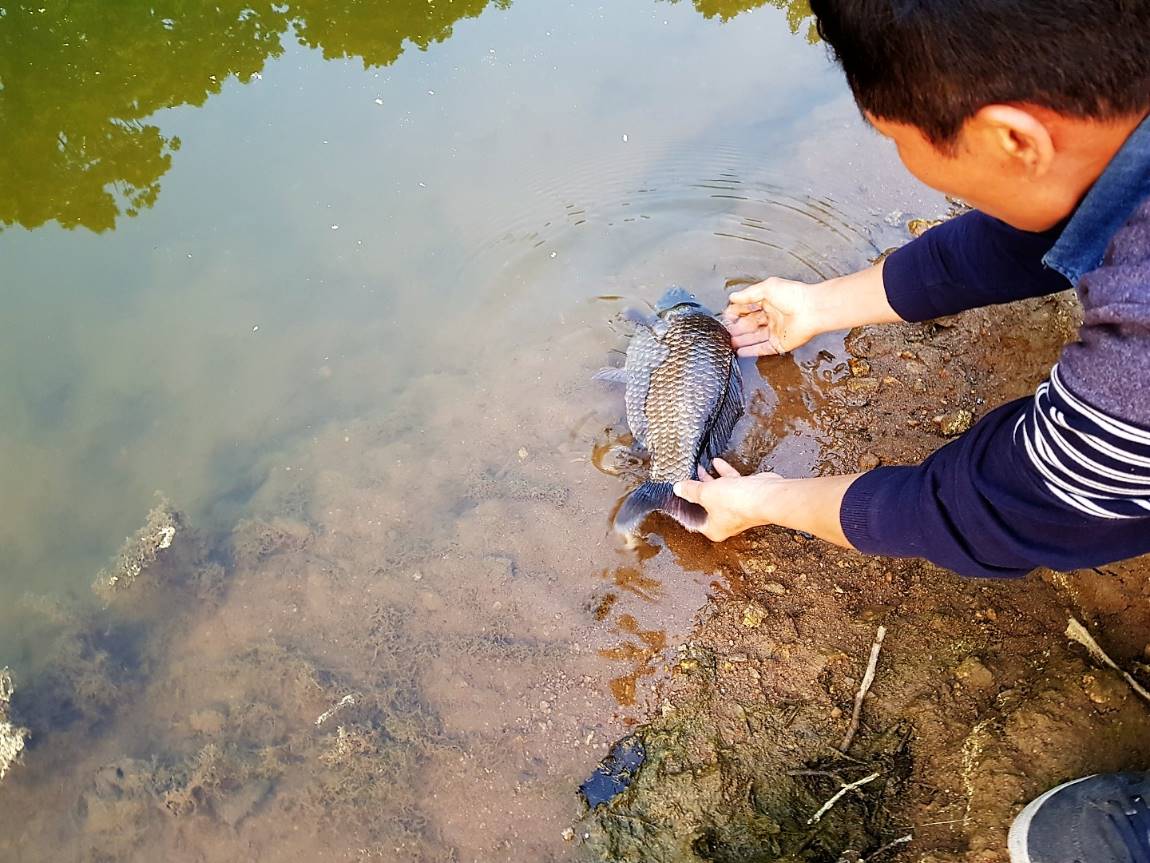 KakaoTalk_20190513_104143042.jpg