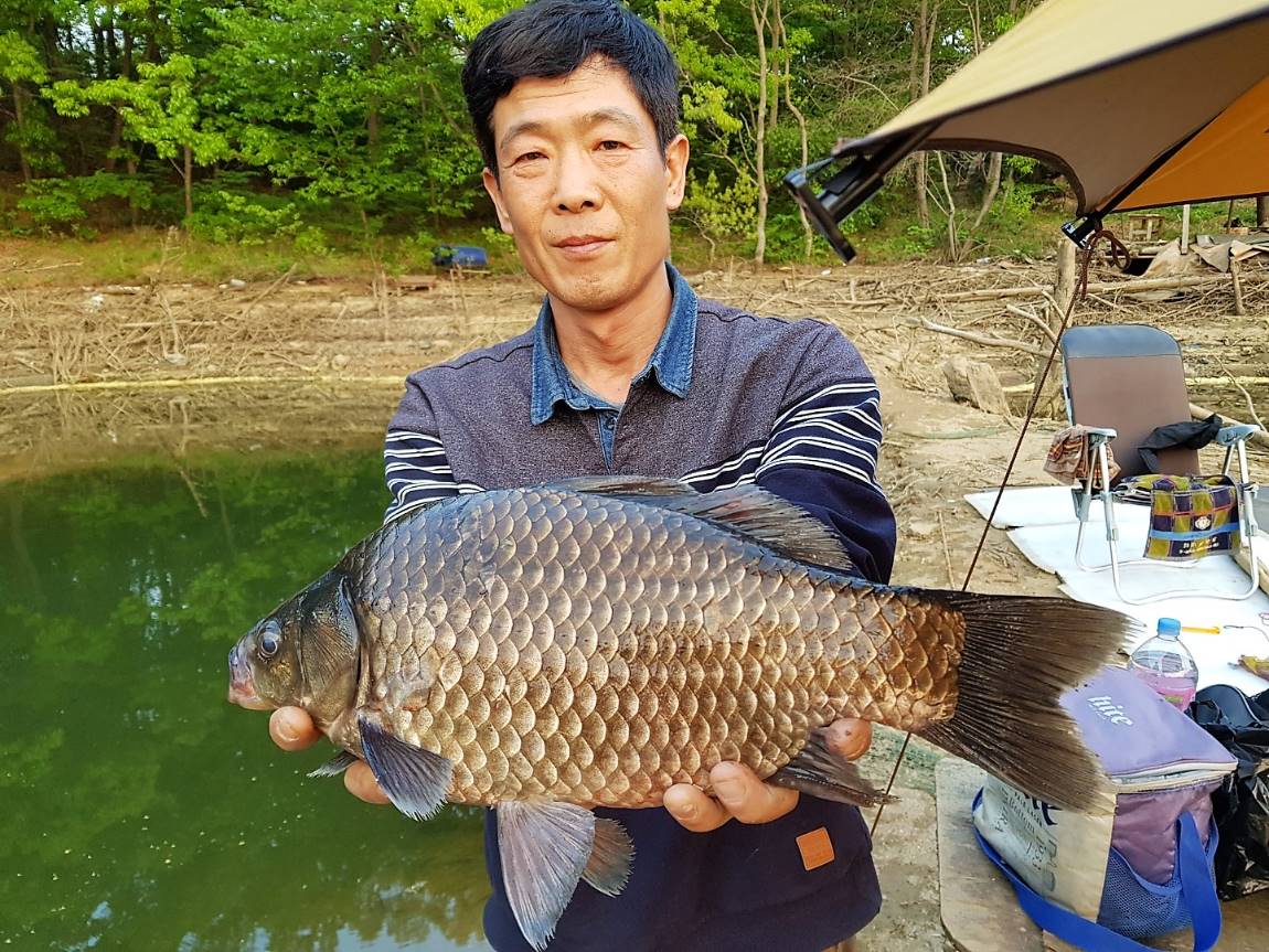 KakaoTalk_20190513_104143476.jpg
