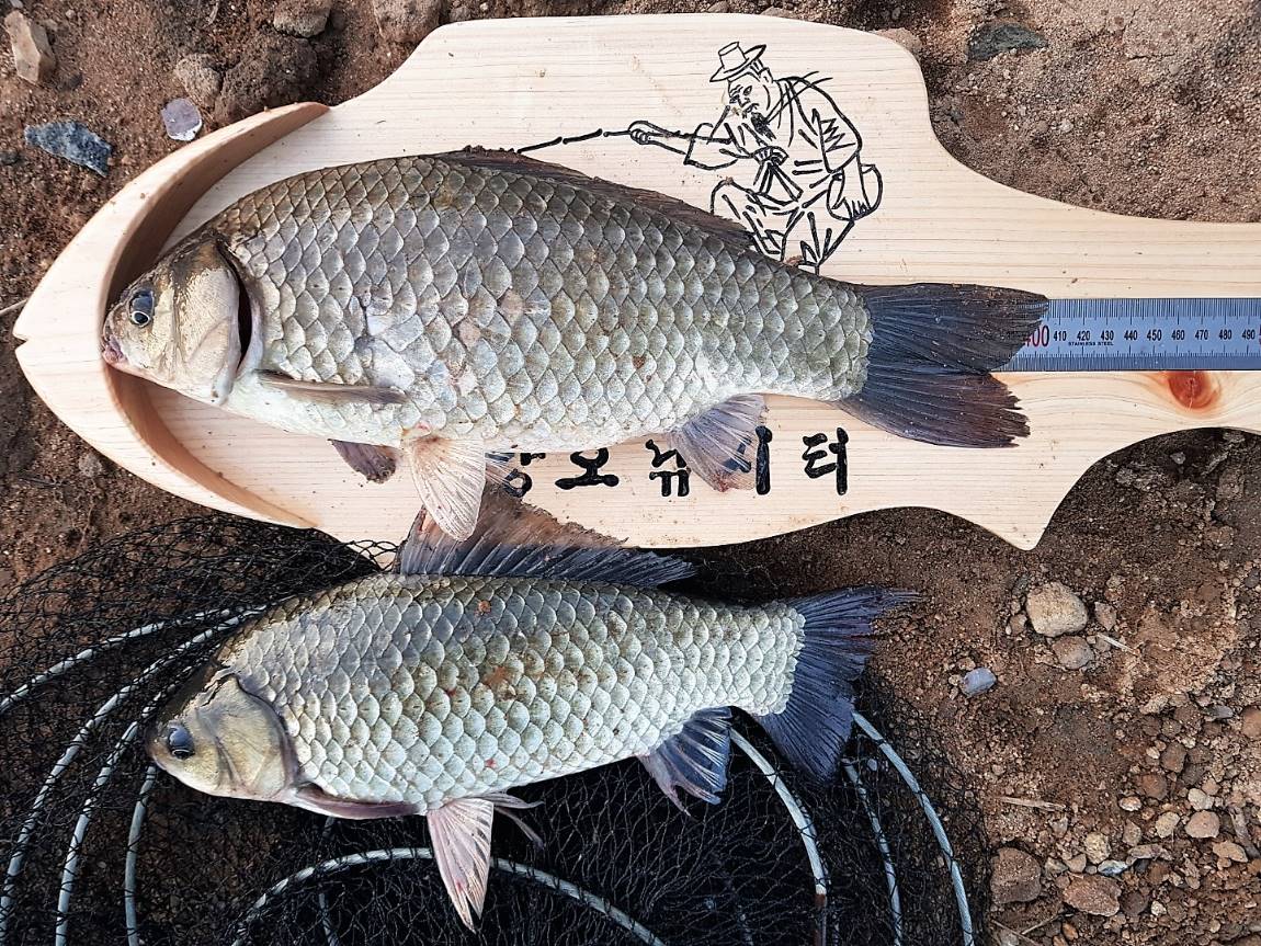 KakaoTalk_20190513_104147669.jpg